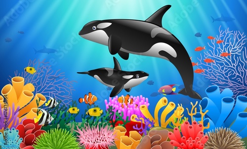 Cartoon killer whale with Coral Reef Underwater in Ocean. Vector illustration