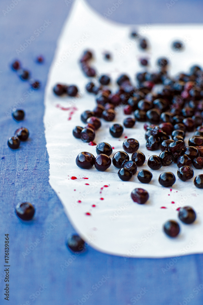 Huckleberries on White Parchment Huckleberries on White Parchment