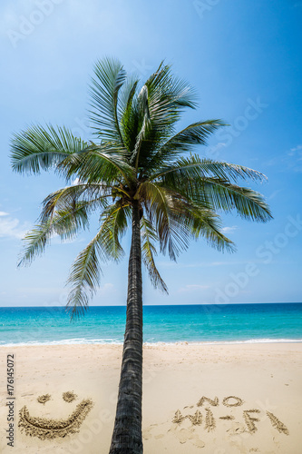 Fototapeta Naklejka Na Ścianę i Meble -  Palm tree and no wi-fi writing on the beautiful sandy beach over blue sea and sky background