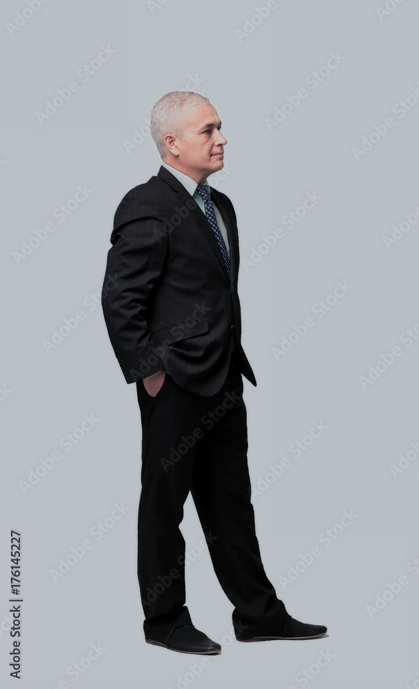 Portrait of an elegant mature business man on white background Portrait of an elegant mature business man on white background