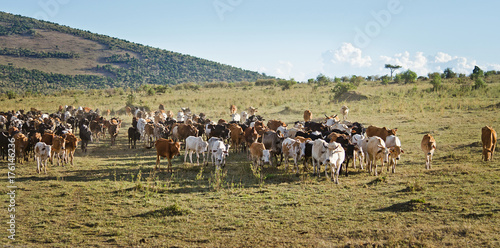 Photography Africa