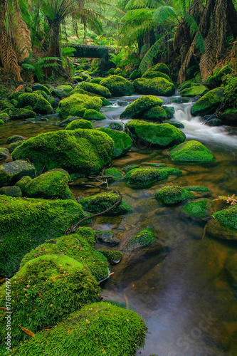 Rainforest Water 2
