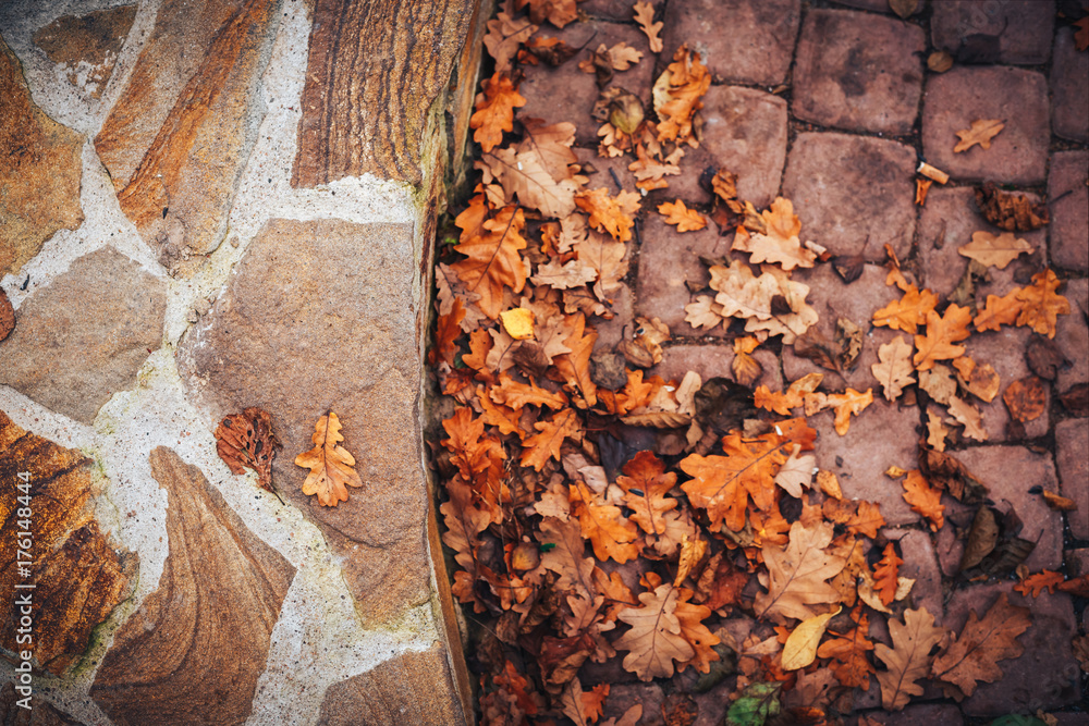 Autumn maple leaves over stone background with copy space. warm color. abstract colorful and texture Autumn maple leaves over stone background with copy space. warm color. abstract colorful and texture