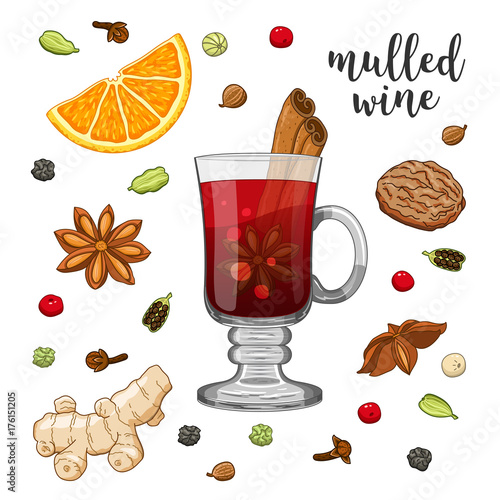 Vector set on white background with glass of mulled wine, orange, cinnamon, cardamom, anise star, cloves, pepper, ginger, coriander and nut. Beautiful winter christmas colored illustration.