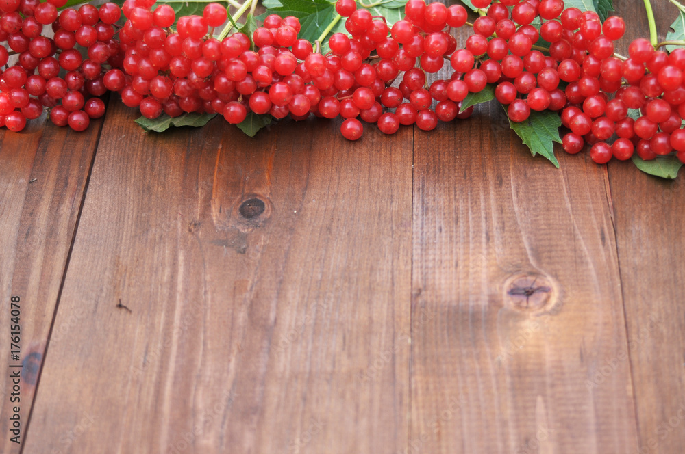 red viburnum on a wooden table red viburnum on a wooden table