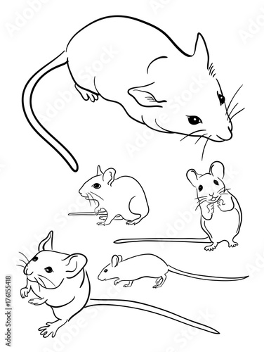 Mice line art 01. Good use for symbol, logo, web icon, mascot, sign, or any design you want.