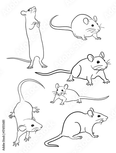 Mice line art 04. Good use for symbol, logo, web icon, mascot, sign, or any design you want.