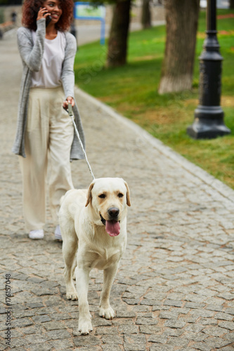 Young busy beautiful lady walking with dog and talking on phone