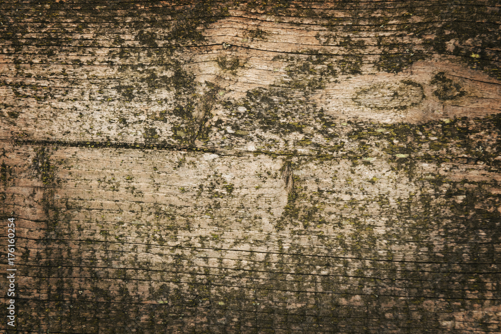 Obraz premium Dark wood texture background surface with old natural pattern or dark wood texture. Grunge surface with wood texture background. Vintage timber texture background. 