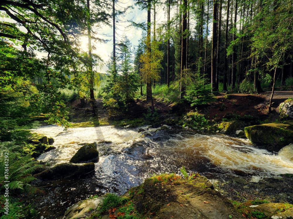 Obraz premium Mountain stream in green forest at Autumn time