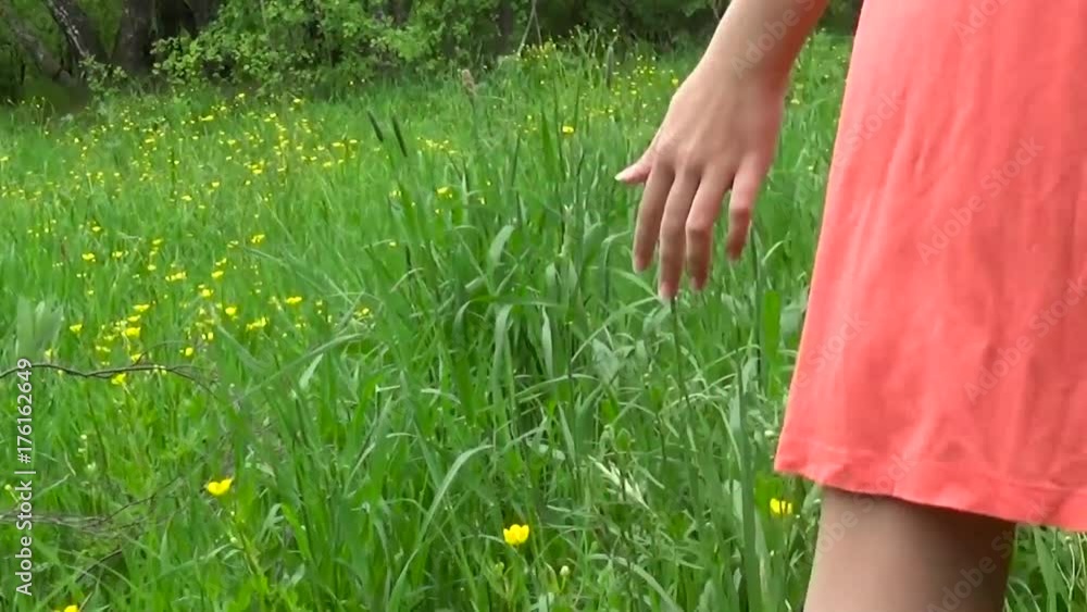 Meadow grass close up panorama slow motion using steadicam. The camera movement. Meadow grass close up panorama slow motion using steadicam. The camera movement.