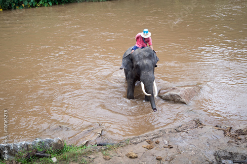  Maetaeng Elephant Park - Mae Taeng photo