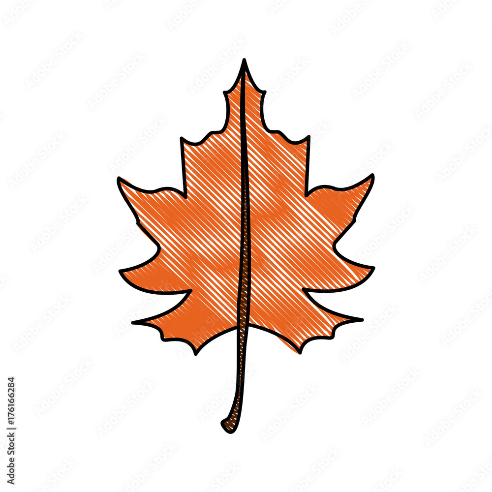 Naklejka premium fall leaf icon image vector illustration design