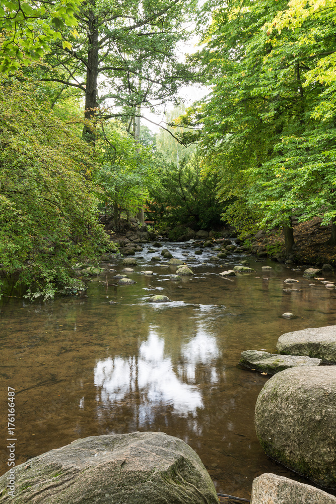 Small and shallow stream at the lush and verdant Oliwa Park (Park Oliwski) in the autumn. It's a public park in Gdansk, Poland. Small and shallow stream at the lush and verdant Oliwa Park (Park Oliwski) in the autumn. It's a public park in Gdansk, Poland.