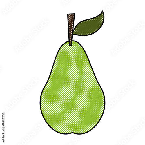 pear fruit icon image vector illustration design