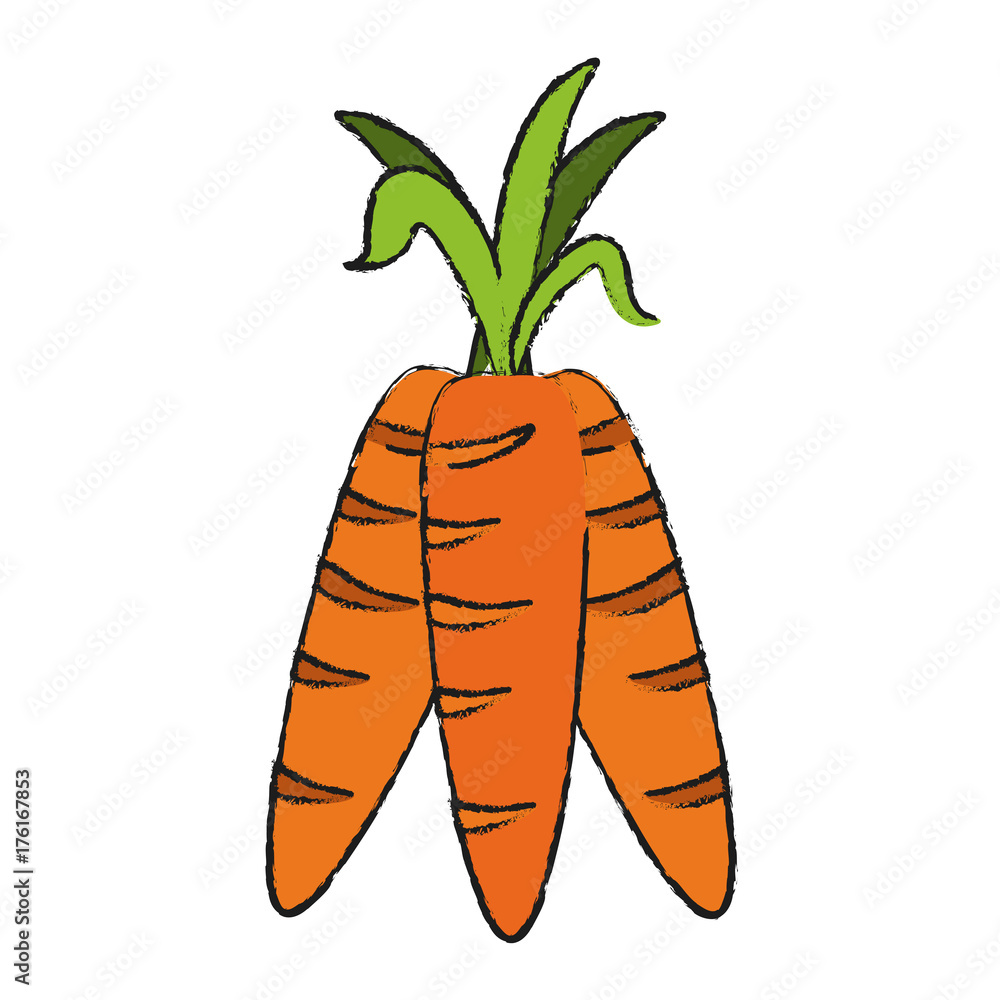 carrot vegetable icon image vector illustration design carrot vegetable icon image vector illustration design