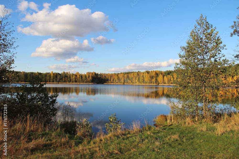 Lake in a delightful autumn forest at sunny day. Russia.