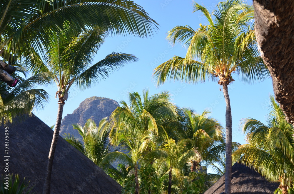 Le Morne Brabant, montagne de l'île Maurice, Océan indien