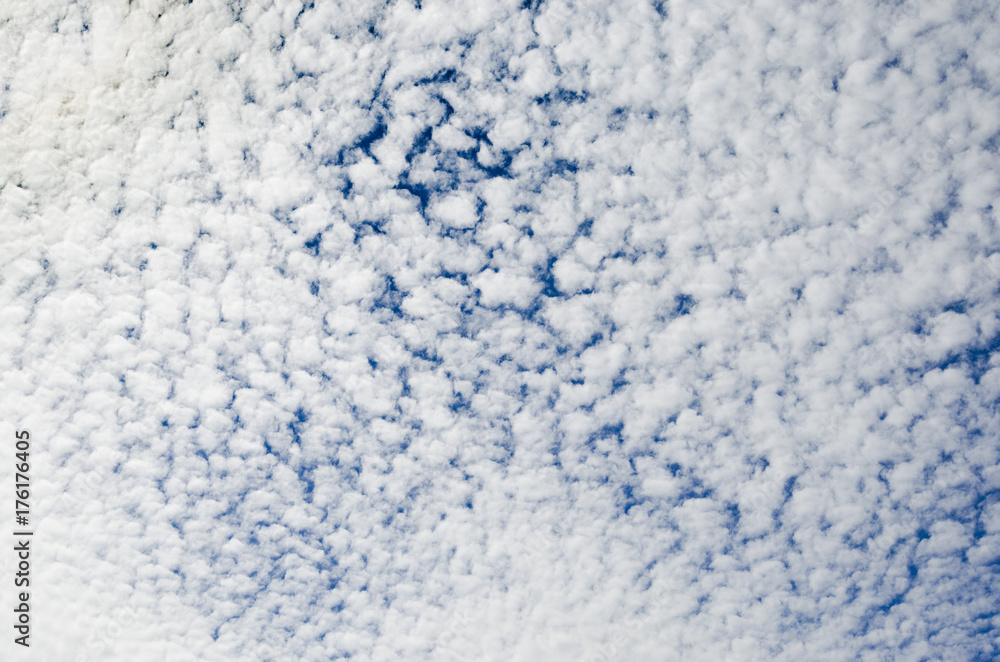 Cirrocumulus and altocumulus clouds and sky in summer Cirrocumulus and altocumulus clouds and sky in summer
