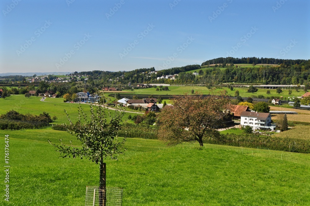 Blick über die grüne Landschaft mit Wiesen und Bäume von der Gemeinde Baar im Kanton Zug, Schweiz 