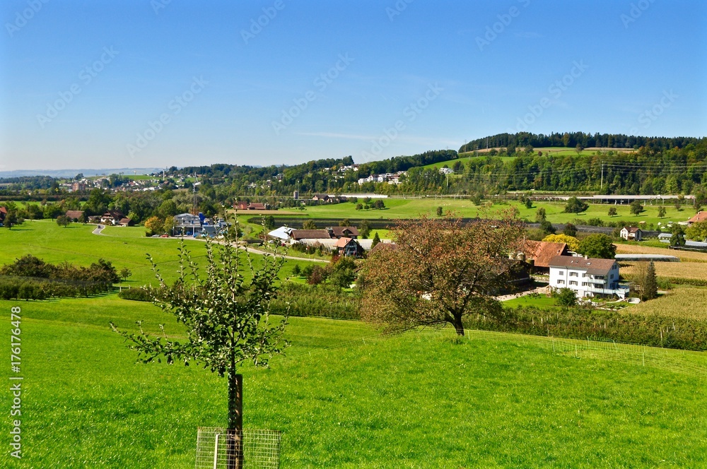 Blick über die grüne Landschaft mit Wiesen und Bäume von der Gemeinde Baar im Kanton Zug, Schweiz 