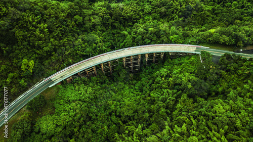 An aerial view of Road or bridge is in the middle of a forest