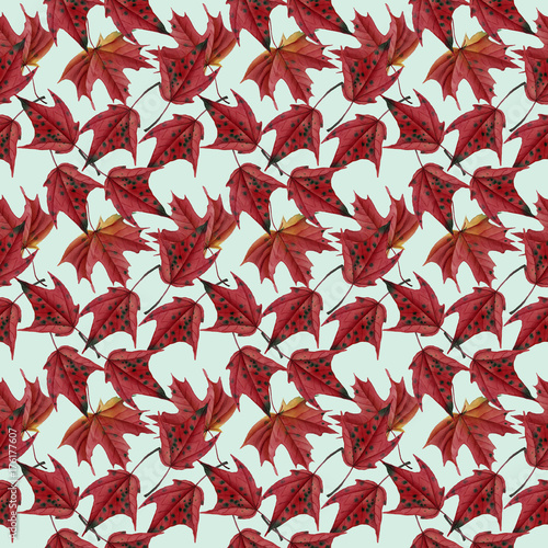 Maple leaves watercolor seamless pattern