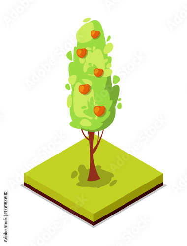 Green apple tree isometric 3D icon. Public park decorative plant and green grass vector illustration. Nature map element for summer parkland landscape design.