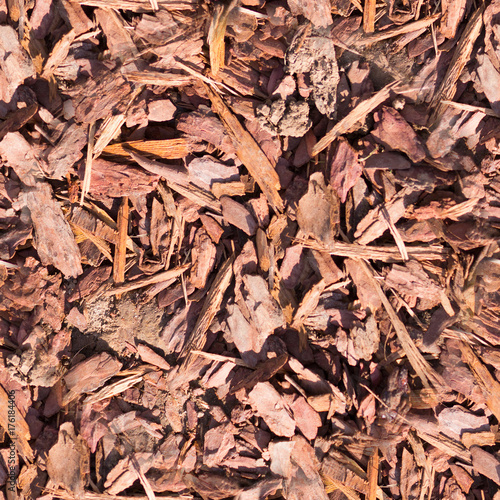 seamless wooden chips mulch on the ground texture. background.