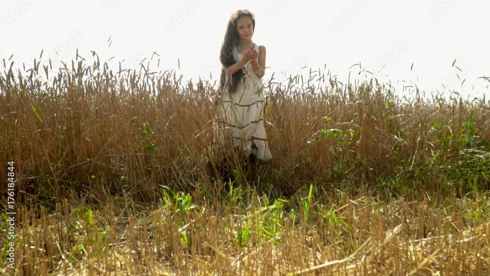 The beautiful dark-haired girl considers wheat seeds. The little beautiful girl costs in the Russian field of mature wheat. Slow motion. The beautiful dark-haired girl considers wheat seeds. The little beautiful girl costs in the Russian field of mature wheat. Slow motion.