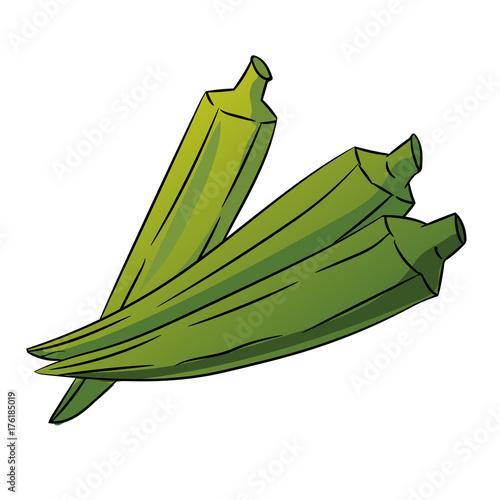 Okra, Ladys Finger Cartoon - Vector Illustration