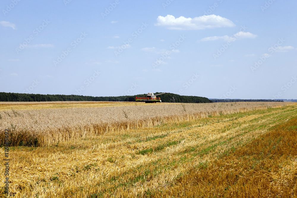 Harvester in the field Harvester in the field