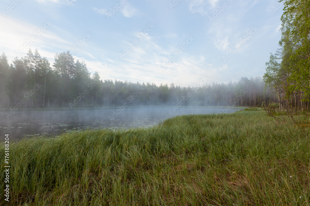 Fototapeta premium Foggy morning at forest pond landscape Finland