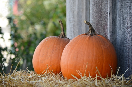 Two large pumpkins sitting on a straw bale
