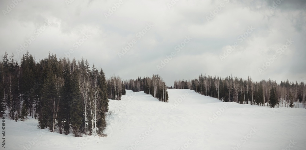 Scenic view of landscape against sky Scenic view of landscape against sky