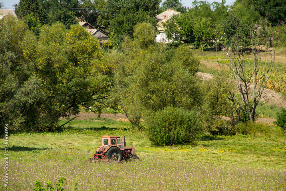 Fototapeta premium Old red tractor haying in a meadow