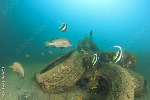 Photography Pollution environmental problem