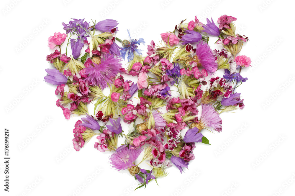 figure in the form of heart isolated on a white background
heart shaped figure lined with flower petals
feelings and emotions
Pink and purple flowers
Flower petals in the pink range