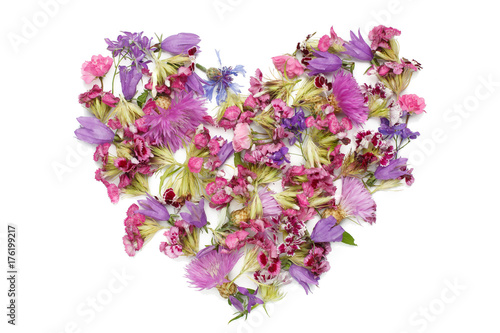 figure in the form of heart isolated on a white background  heart shaped figure lined with flower petals  feelings and emotions  Pink and purple flowers  Flower petals in the pink range