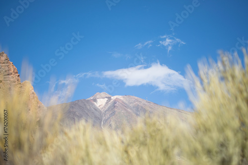 Teide on Tenerife with grass in the foreground