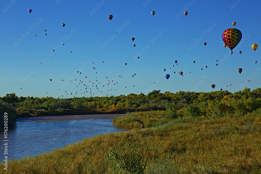 Fototapeta premium Morning Flight VI
