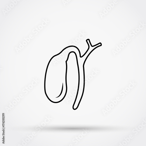 Outline gall bladder vector icon.