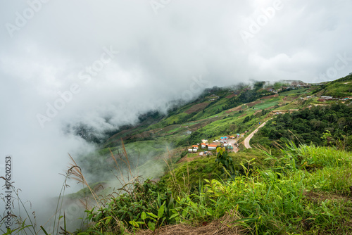 Landscape of hill and mist from the top of mountain