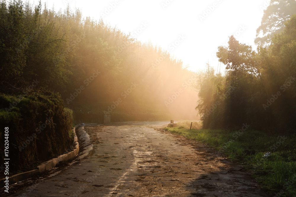 Fototapeta premium Morning lights during sunrise