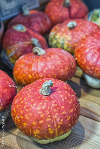 Ornamental (decorative pumpkins)