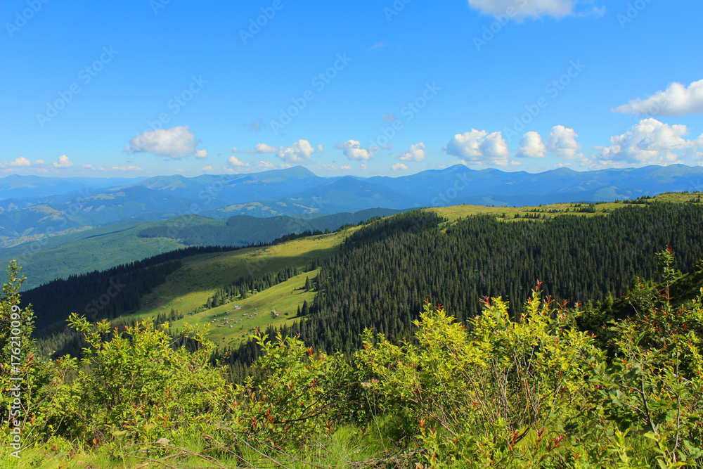 Obraz premium landscape