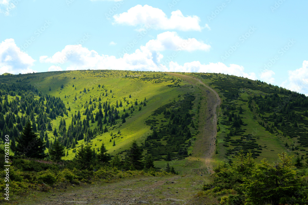 Obraz premium landscape