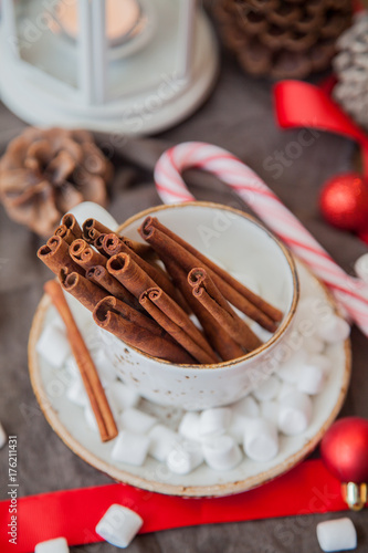 Cinnamon sticks. Christmas still life.