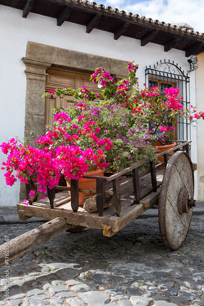 Antigua Guatemala: flowers decorating a medieval wood cart on the colonial street of the popular tourist destination town