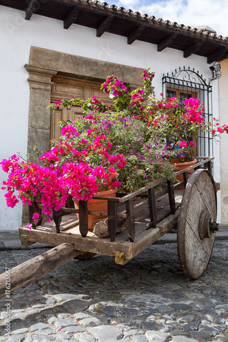 Antigua Guatemala: flowers decorating a medieval wood cart on the colonial street of the popular tourist destination town